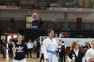 Krokoyama Cup 2017