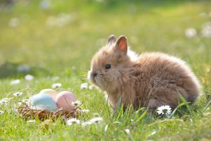 easter-2197043 1280