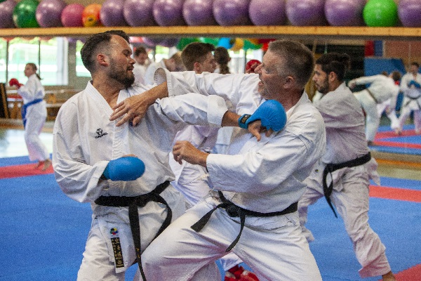 2019-btw-karatefestival-2