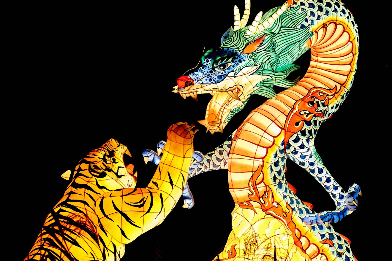 Qigong & das Spiel der fünf Tiere