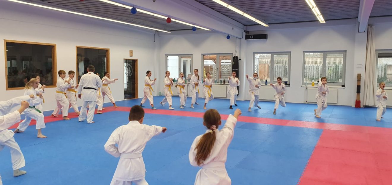Aus unseren Dojos: Koshinkan „Kids Spezial“ lockte 60 junge Karateka nach Bad Salzuflen