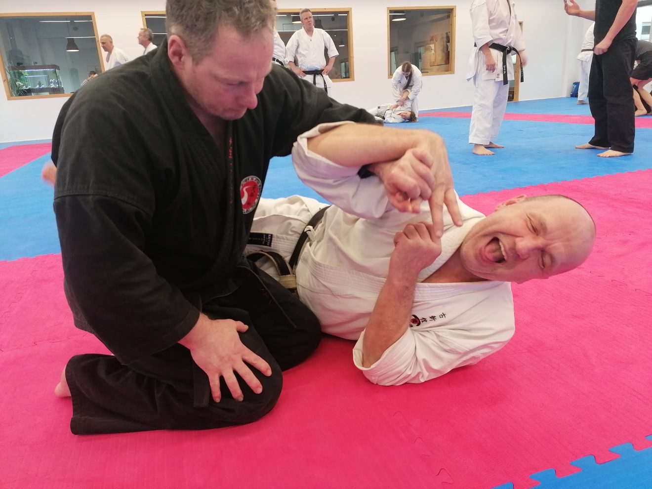 Aus unseren Dojos: „Karate meets Jiu Jitsu“ im Landesstützpunkt Koshinkan in Bad Salzuflen