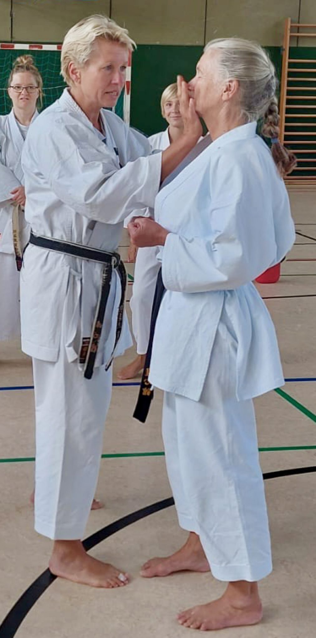 Nage Waza Teil 3 der Lehrgangsreihe Karate Dachverband Nordrhein