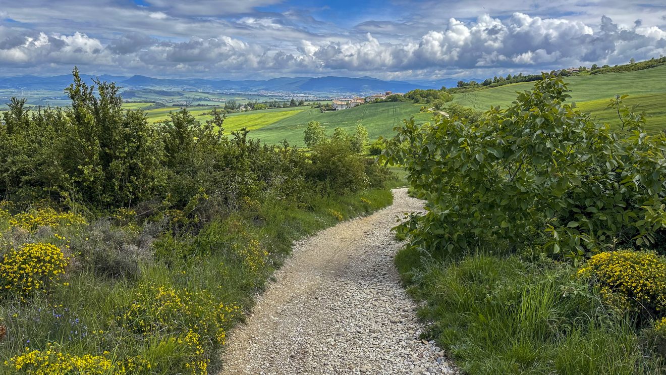 Aus unseren Dojos: „Buen Camino“ –Ein Karateka auf dem Jakobsweg (Ein Erfahrungsbericht von Alexander Kröger aus Bünde)