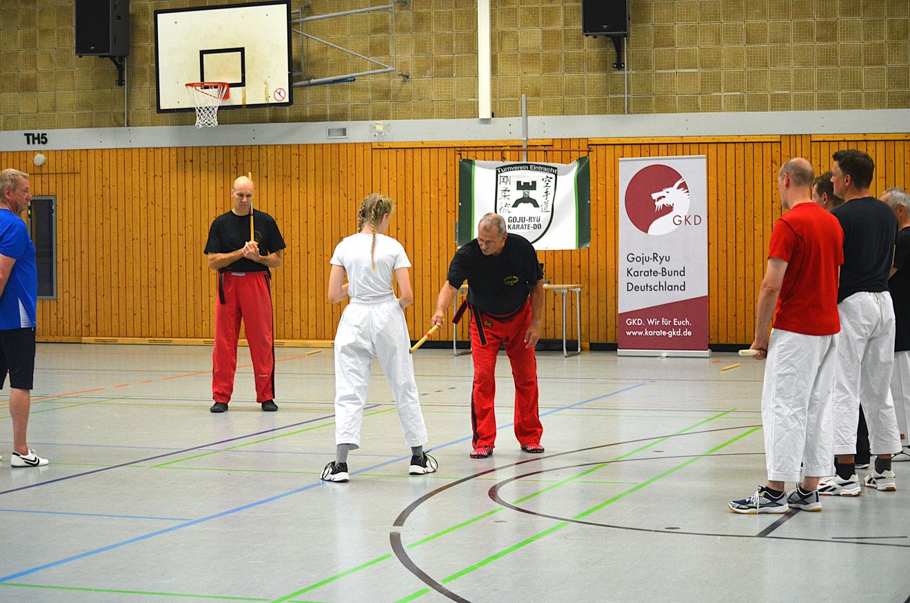 Goju-Ryu: Karate meets Modern Arnis