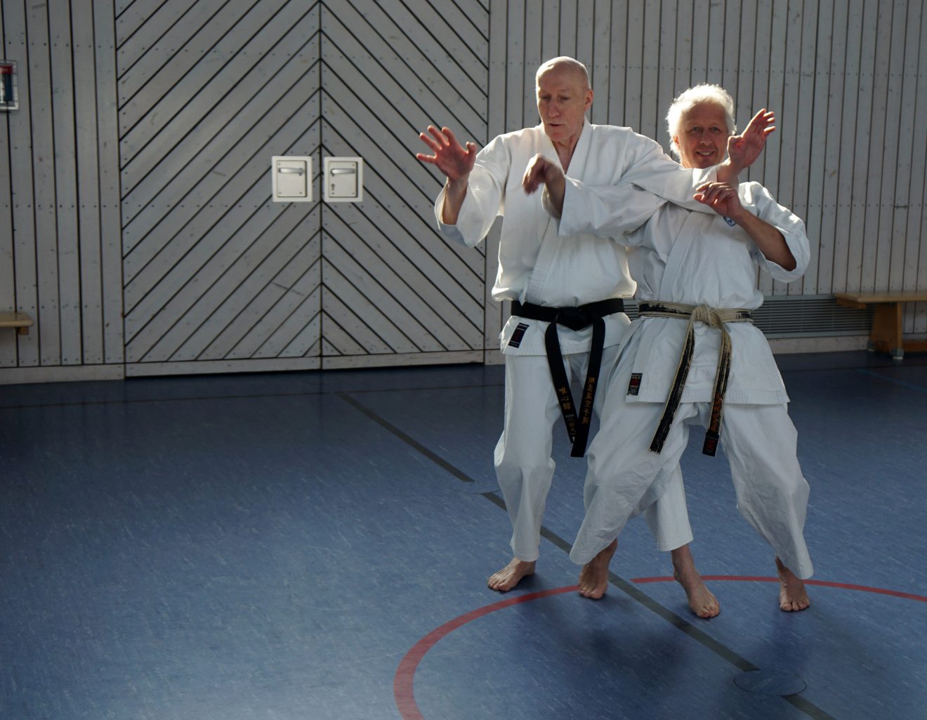Aus unseren Dojos: Lehrgang mit Martin Nienhaus in Leverkusen zum Thema Elemente & Tiere im Karate-Do